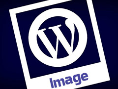 insert logo, chèn hình ảnh, image wordpress